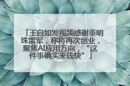王自如发视频感谢董明珠雷军，称将再次创业，聚焦AI应用方向，“这件事确实来钱快”