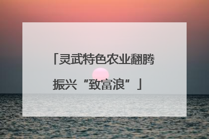 灵武特色农业翻腾振兴“致富浪”