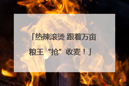 热辣滚烫 跟着万亩粮王“抢”收麦！