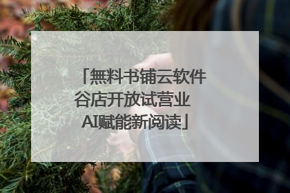 無料书铺云软件谷店开放试营业 AI赋能新阅读