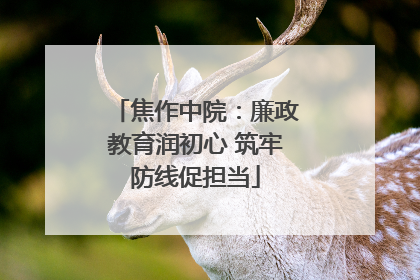 焦作中院：廉政教育润初心 筑牢防线促担当