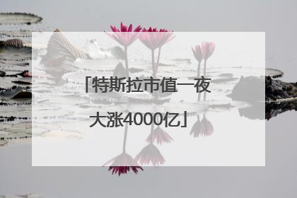 特斯拉市值一夜大涨4000亿