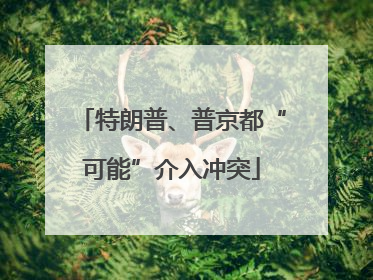 特朗普、普京都“可能”介入冲突