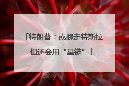 特朗普：或挪走特斯拉 但还会用“星链”