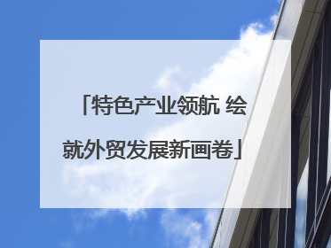 特色产业领航 绘就外贸发展新画卷