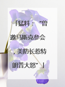 猛料：“曾邀马斯克参会，美防长惹特朗普大怒”