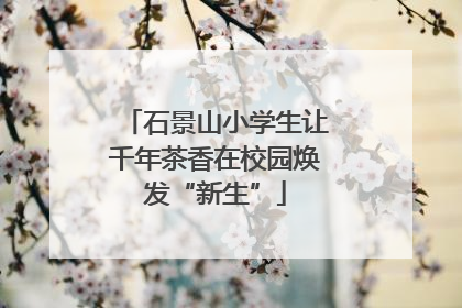 石景山小学生让千年茶香在校园焕发“新生”