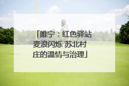 睢宁：红色驿站麦浪闪烁 苏北村庄的温情与治理