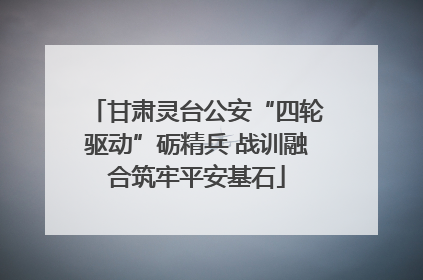 甘肃灵台公安“四轮驱动”砺精兵 战训融合筑牢平安基石