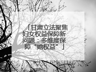 甘肃立法聚焦妇女权益保障新问题：多维度保障“她权益”