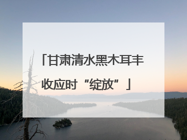 甘肃清水黑木耳丰收应时“绽放”