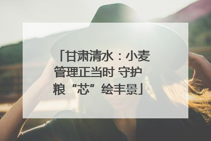 甘肃清水：小麦管理正当时 守护粮“芯”绘丰景