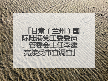 甘肃（兰州）国际陆港党工委委员、管委会主任李建亮接受审查调查