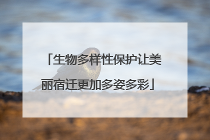 生物多样性保护让美丽宿迁更加多姿多彩