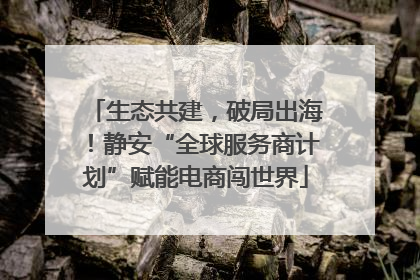 生态共建，破局出海！静安“全球服务商计划”赋能电商闯世界