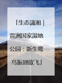 生态潇湘｜萱洲国家湿地公园：新生鹭鸟振翅欲飞