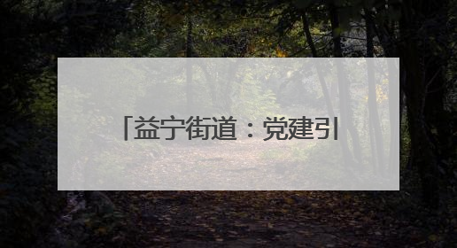 益宁街道：党建引领多元共治 绘就基层治理新画卷