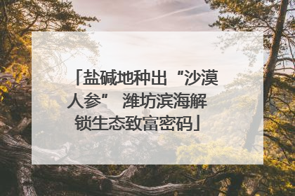 盐碱地种出“沙漠人参” 潍坊滨海解锁生态致富密码