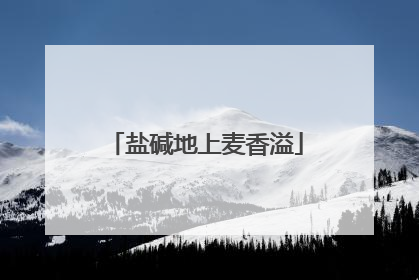 盐碱地上麦香溢