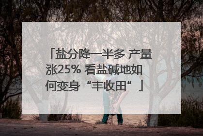 盐分降一半多 产量涨25% 看盐碱地如何变身“丰收田”