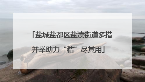 盐城盐都区盐渎街道多措并举助力“秸”尽其用