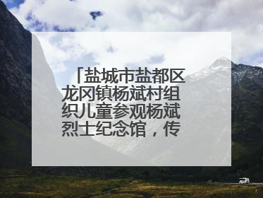 盐城市盐都区龙冈镇杨斌村组织儿童参观杨斌烈士纪念馆，传承红色基因