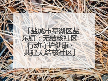盐城市亭湖区盐东镇：无结核社区行动守护健康 ·共建无结核社区