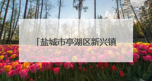 盐城市亭湖区新兴镇联盟村：密织“防火墙”守护蓝天净土