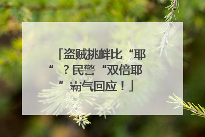 盗贼挑衅比“耶”？民警“双倍耶”霸气回应！