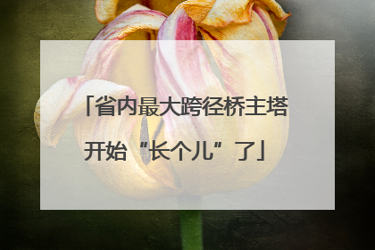 省内最大跨径桥主塔开始“长个儿”了