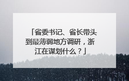 省委书记、省长带头到最薄弱地方调研，浙江在谋划什么？