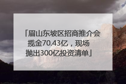 眉山东坡区招商推介会揽金70.43亿，现场抛出300亿投资清单