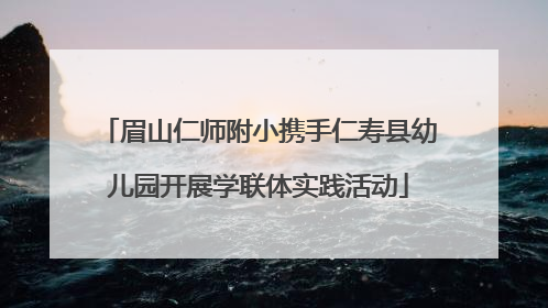 眉山仁师附小携手仁寿县幼儿园开展学联体实践活动