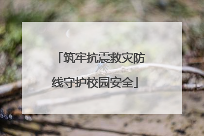 筑牢抗震救灾防线守护校园安全