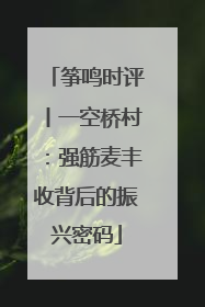 筝鸣时评丨一空桥村：强筋麦丰收背后的振兴密码