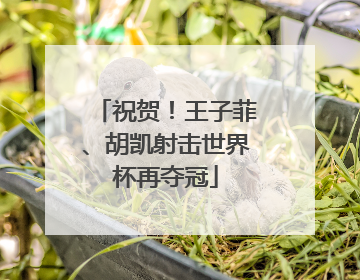 祝贺！王子菲、胡凯射击世界杯再夺冠