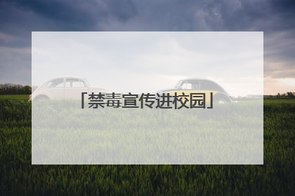 禁毒宣传进校园