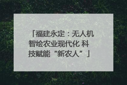 福建永定：无人机智绘农业现代化 科技赋能“新农人”