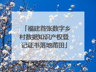 福建首张数字乡村数据知识产权登记证书落地莆田