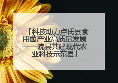 科技助力卢氏县食用菌产业高质量发展——院县共建现代农业科技示范县