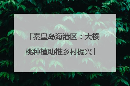 秦皇岛海港区：大樱桃种植助推乡村振兴