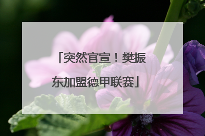 突然官宣！樊振东加盟德甲联赛