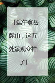 端午登岳麓山，这五处景观变样了