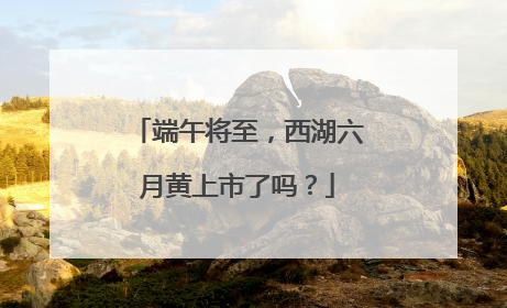 端午将至，西湖六月黄上市了吗？