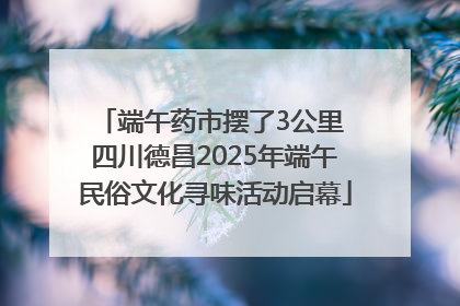 端午药市摆了3公里 四川德昌2025年端午民俗文化寻味活动启幕