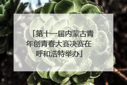 第十一届内蒙古青年创青春大赛决赛在呼和浩特举办