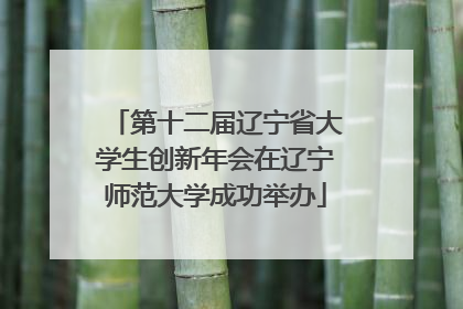 第十二届辽宁省大学生创新年会在辽宁师范大学成功举办
