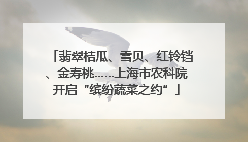 翡翠桔瓜、雪贝、红铃铛、金寿桃……上海市农科院开启“缤纷蔬菜之约”