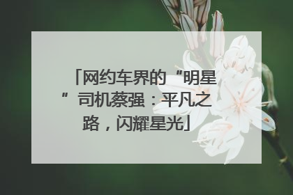 网约车界的“明星”司机蔡强：平凡之路，闪耀星光