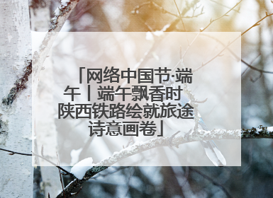 网络中国节·端午丨端午飘香时 陕西铁路绘就旅途诗意画卷